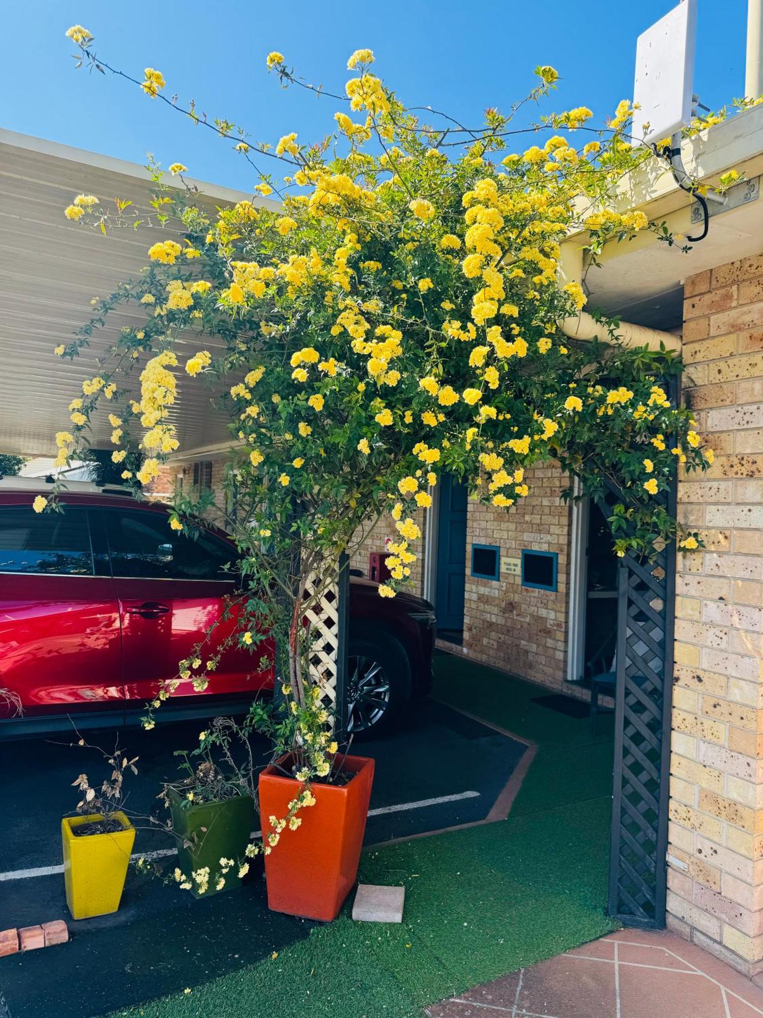 Town And Country Motor Inn Tamworth Buitenkant foto